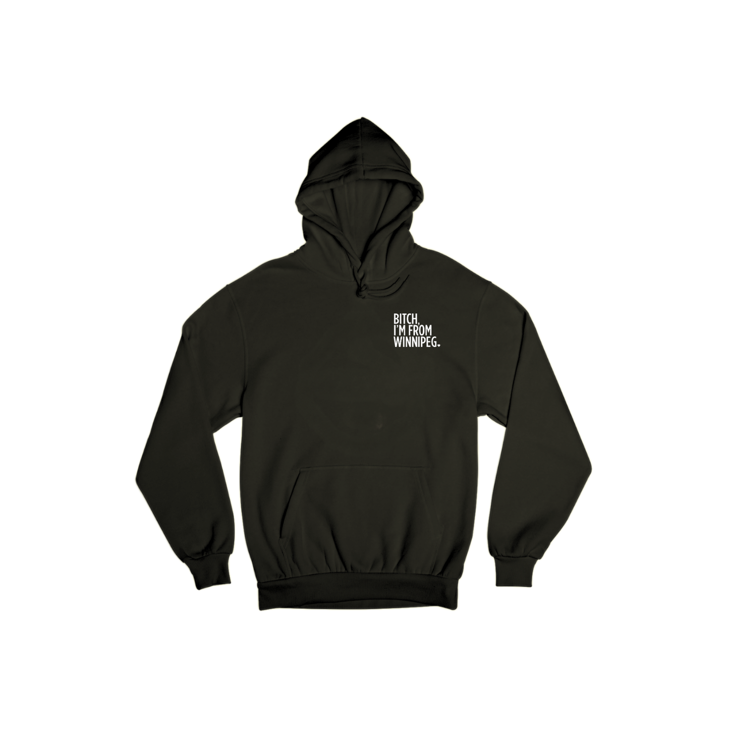 Bitch, I'm From Winnipeg Hoodie