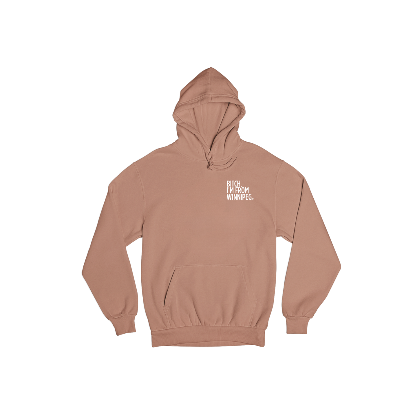 Bitch, I'm From Winnipeg Hoodie