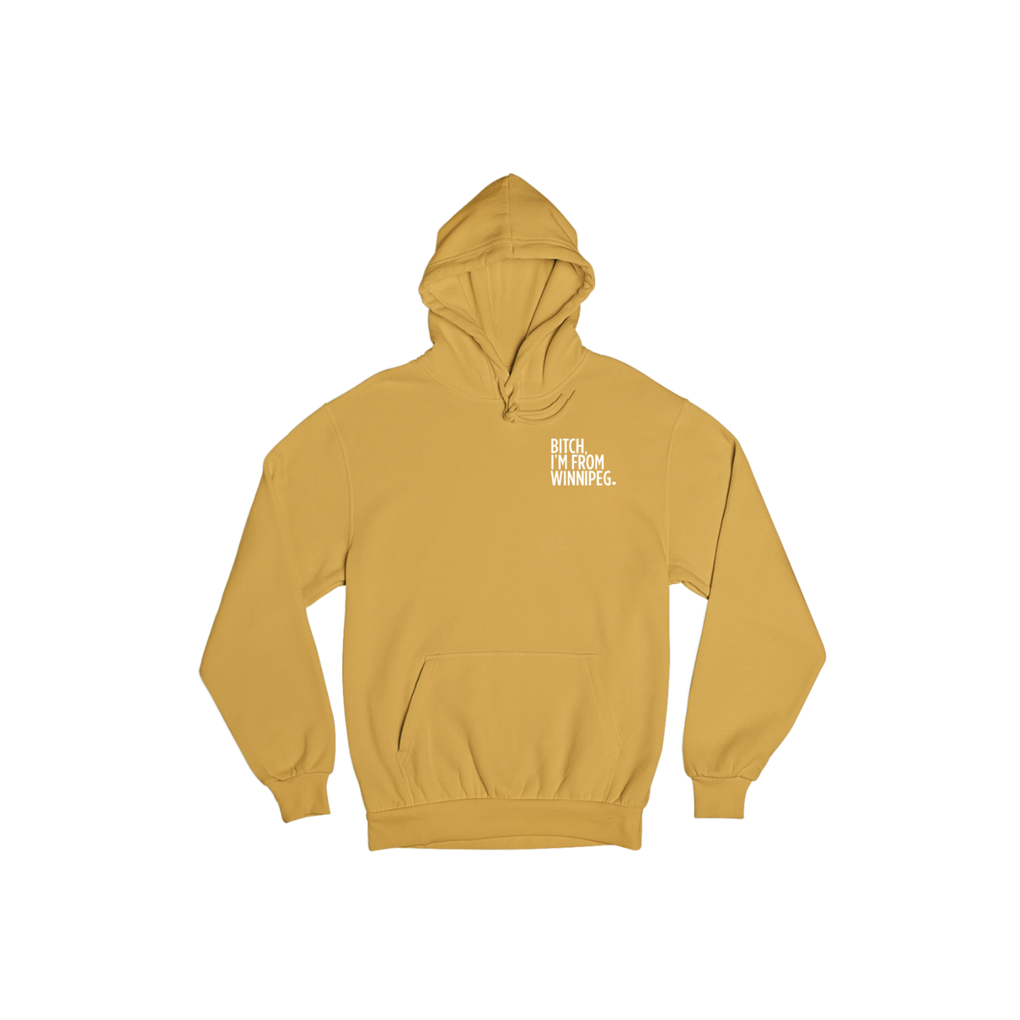 Bitch, I'm From Winnipeg Hoodie