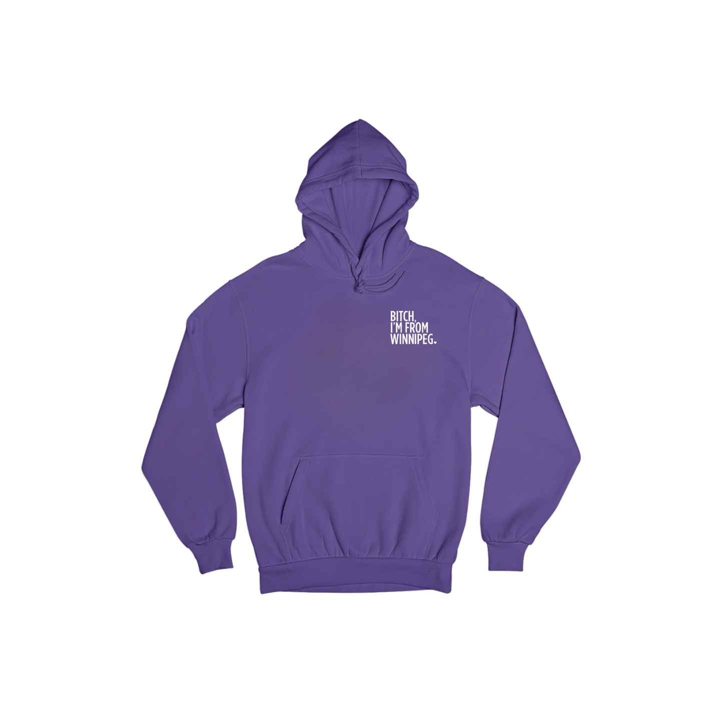 Bitch, I'm From Winnipeg Hoodie