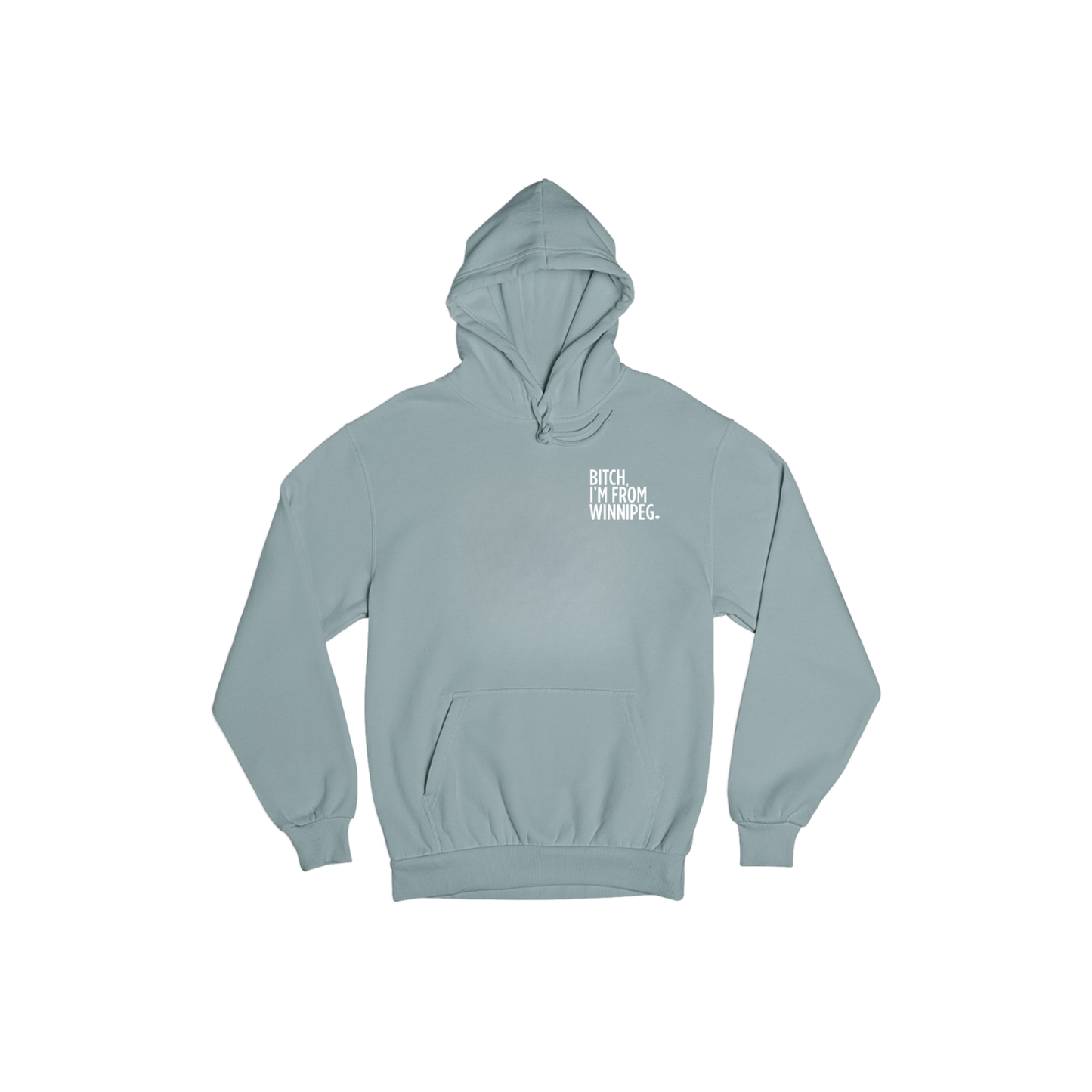 Bitch, I'm From Winnipeg Hoodie