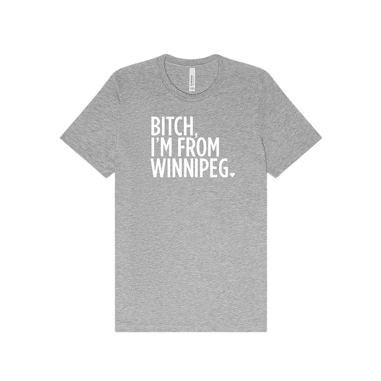 Bitch, I'm From Winnipeg Tee