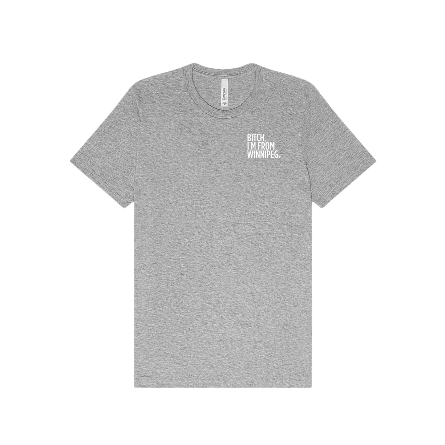 Bitch, I'm From Winnipeg Tee