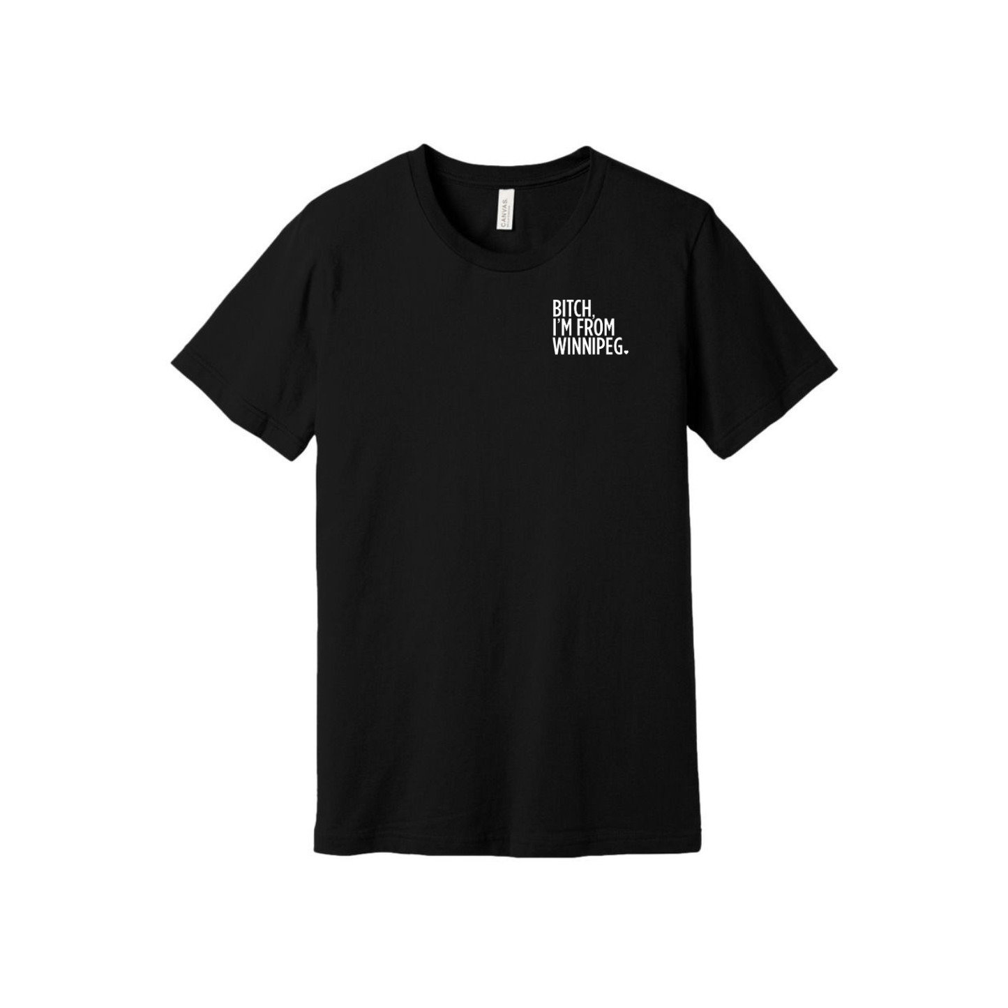 Bitch, I'm From Winnipeg Tee