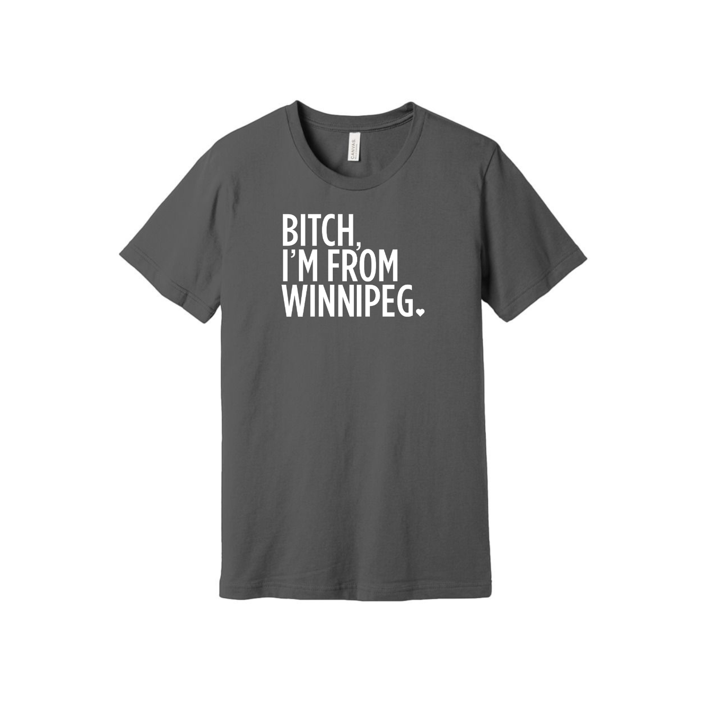 Bitch, I'm From Winnipeg Tee