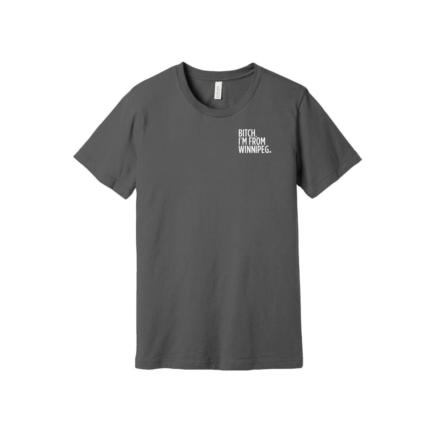 Bitch, I'm From Winnipeg Tee