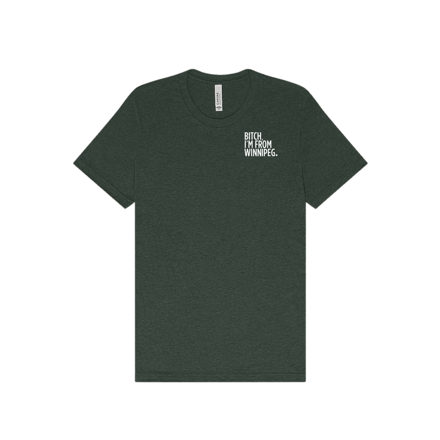 Bitch, I'm From Winnipeg Tee