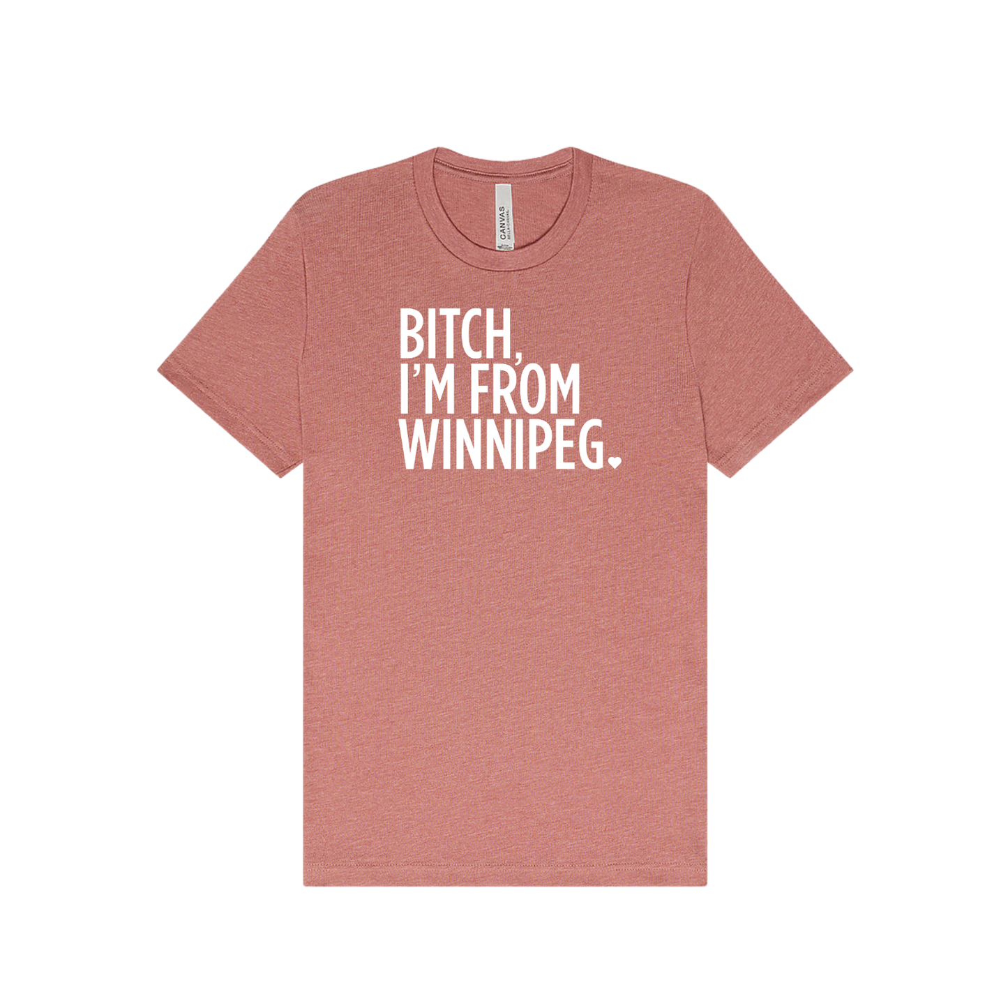 Bitch, I'm From Winnipeg Tee