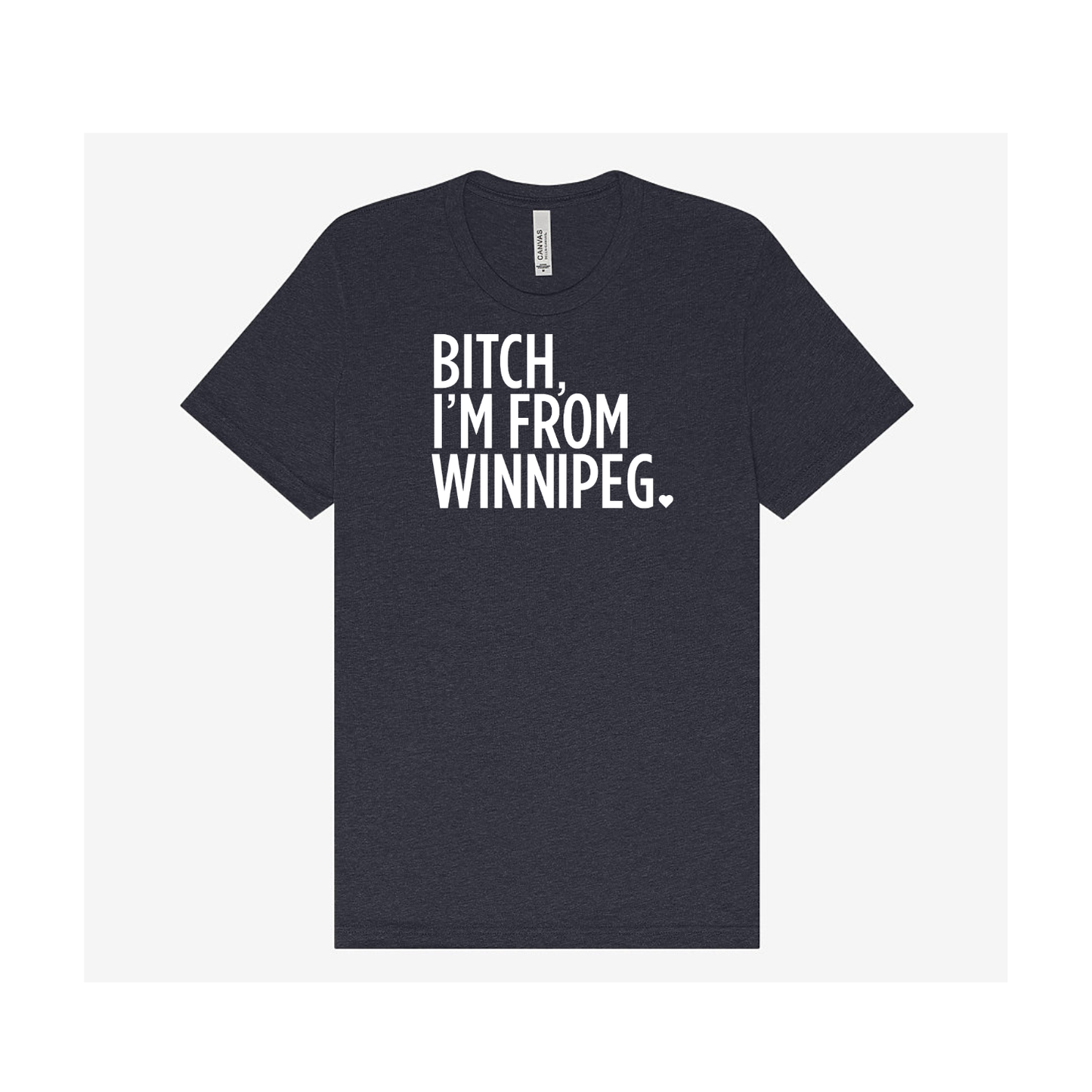 Bitch, I'm From Winnipeg Tee