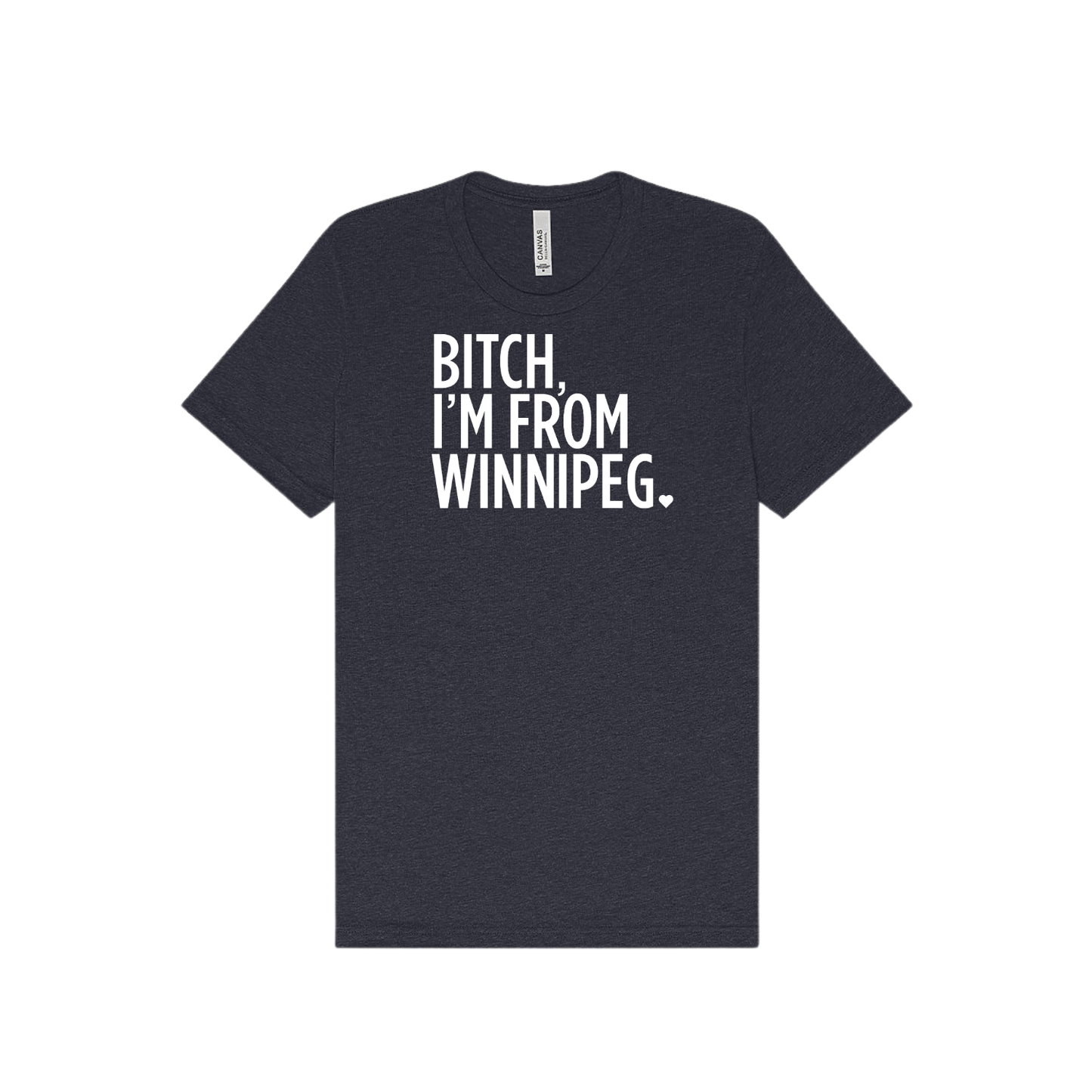 Bitch, I'm From Winnipeg Tee