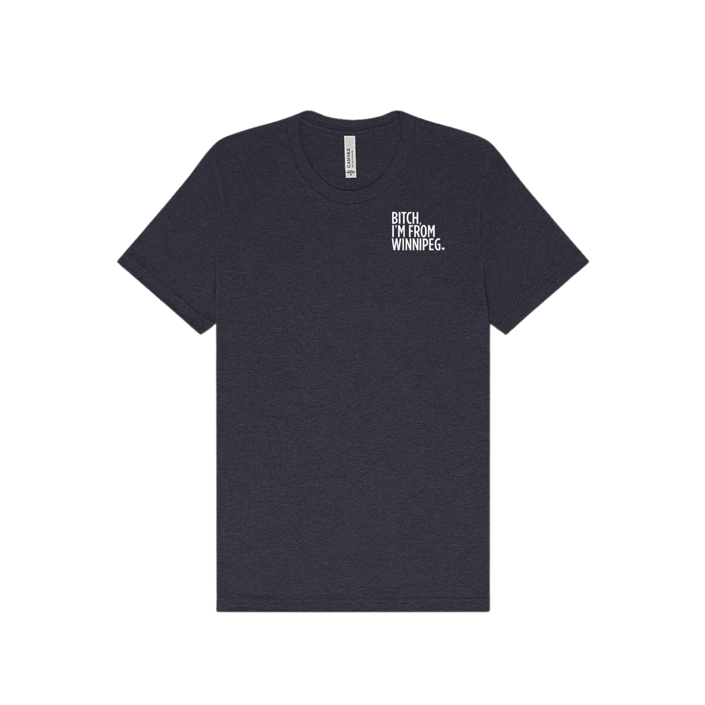 Bitch, I'm From Winnipeg Tee