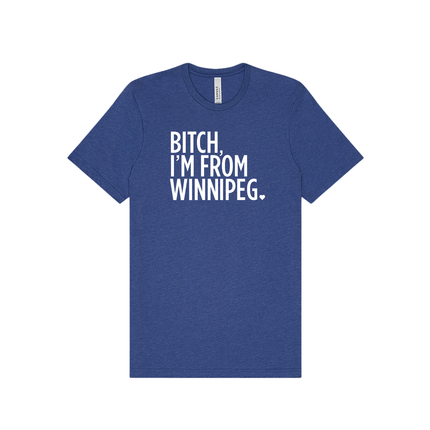 Bitch, I'm From Winnipeg Tee