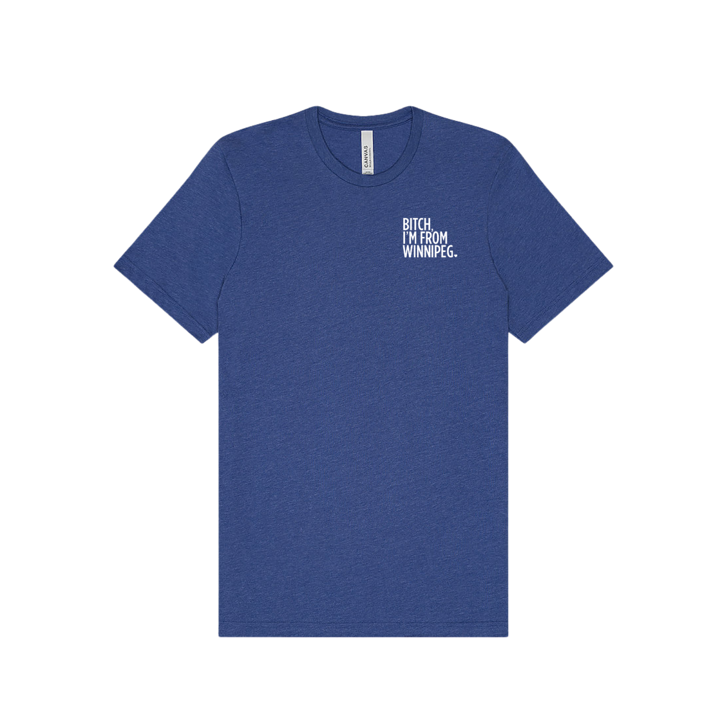 Bitch, I'm From Winnipeg Tee